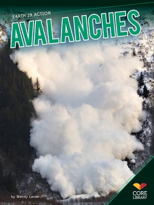 Avalanches - ebook